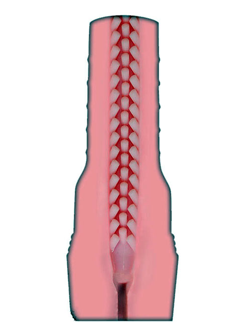 Fleshlight Pink Lady Vibro Touch